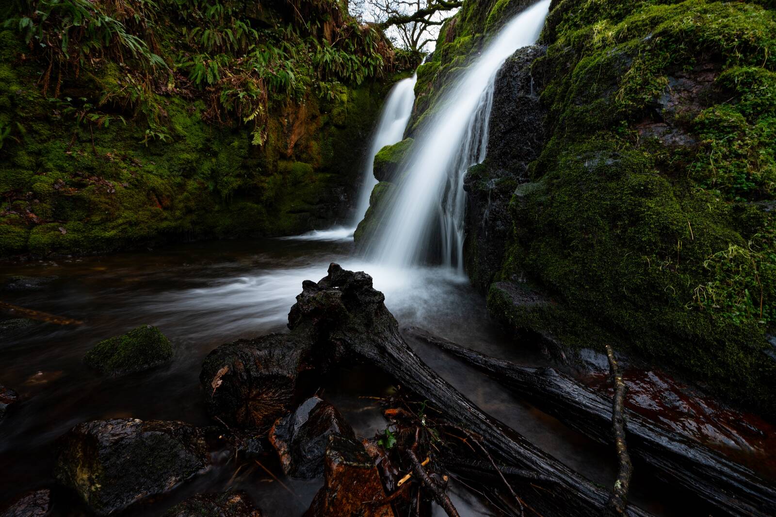 Image of Venford Falls by Andrew Heard