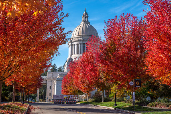 Fall color at Washington State Capitol in Olympia