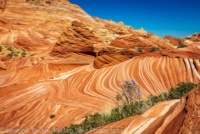 images of Coyote Buttes North & The Wave - Coyote Buttes North - Sand Cove Buttes