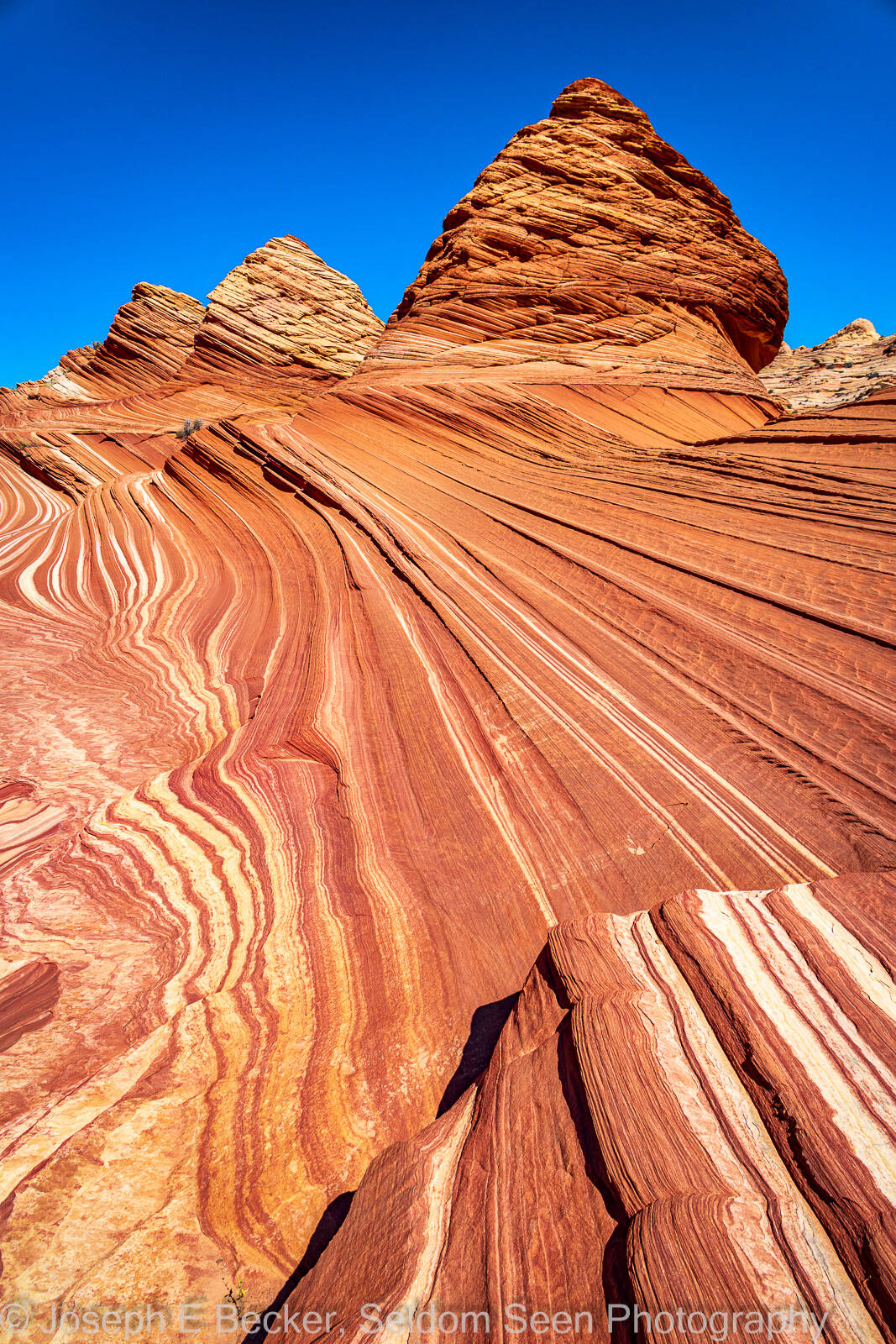 Image of Coyote Buttes North - Sand Cove Buttes by Joe Becker