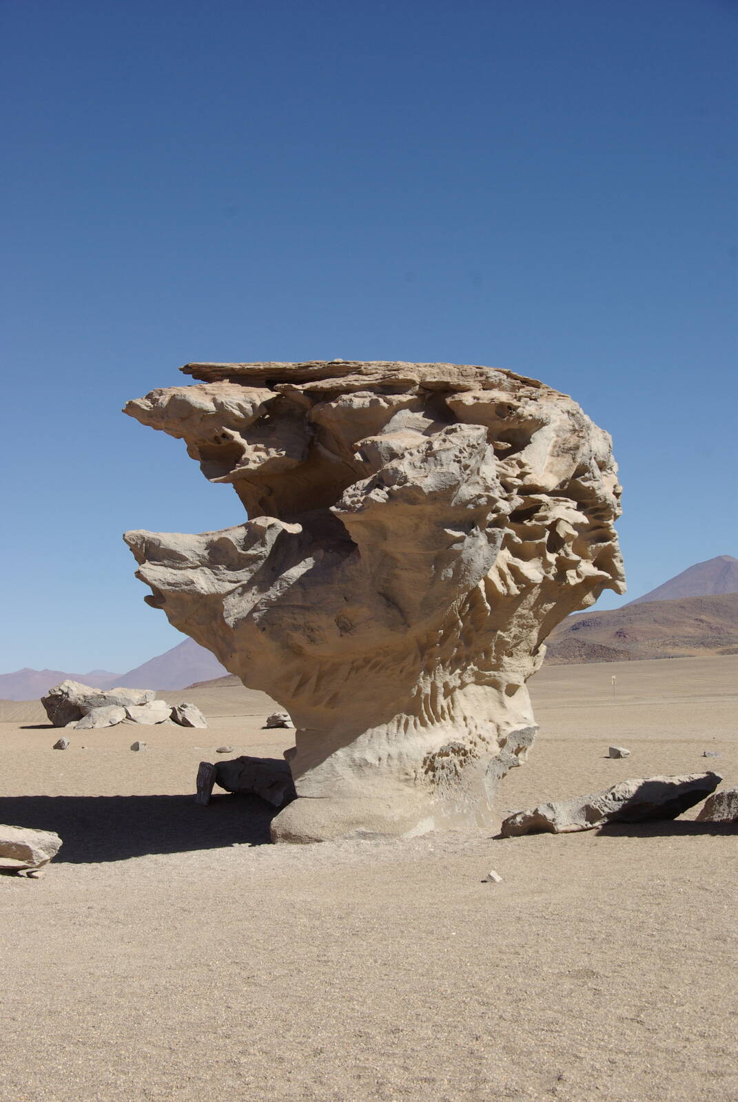 Image of Stone Tree, Siloli desert by Nigel Shaw