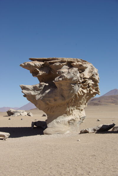 Bolivia photos - Stone Tree, Siloli desert