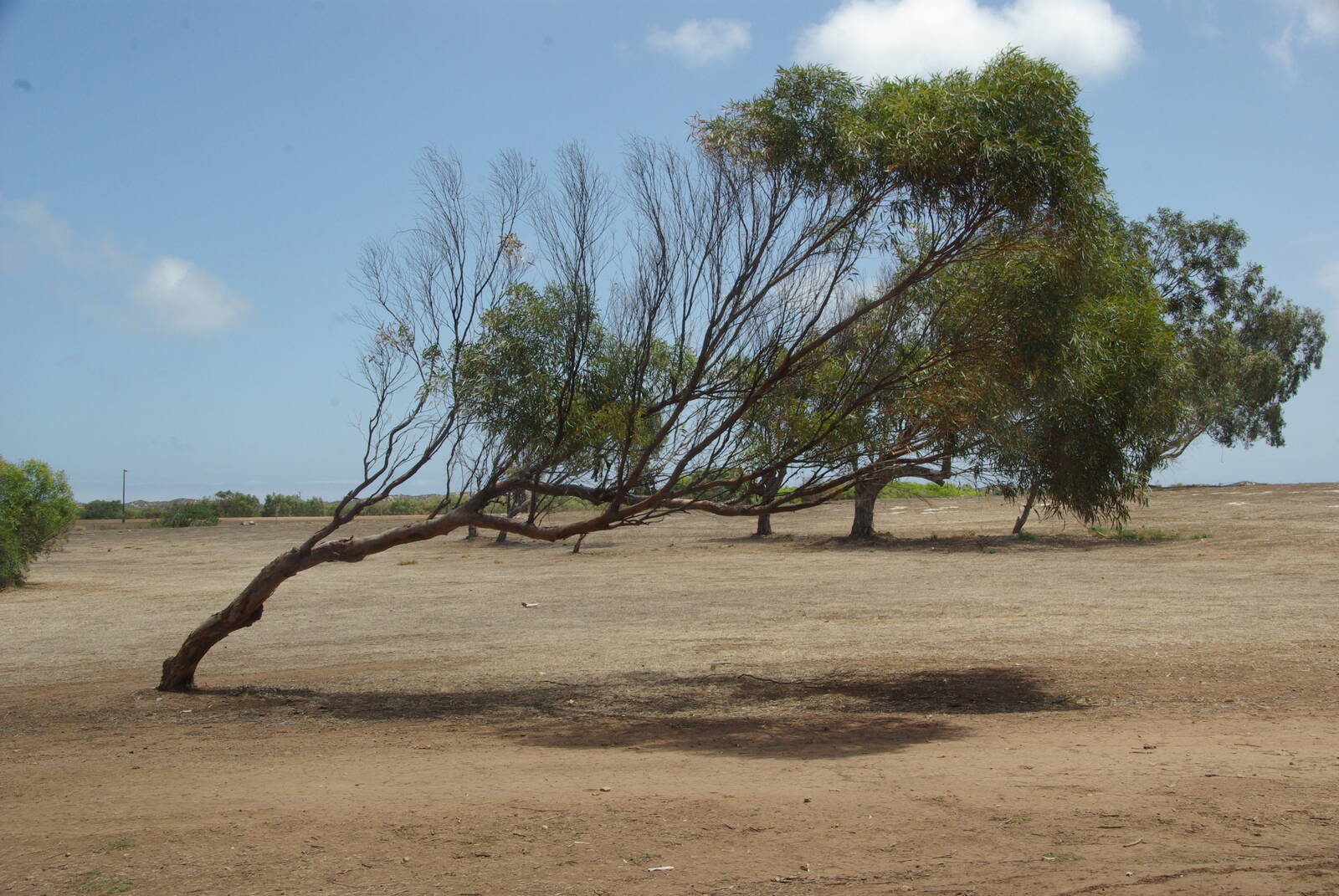 Image of Greenough, Western Australia by Nigel Shaw