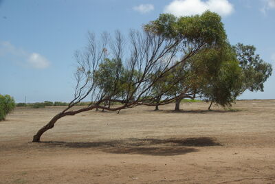 Photo of Greenough, Western Australia - Greenough, Western Australia