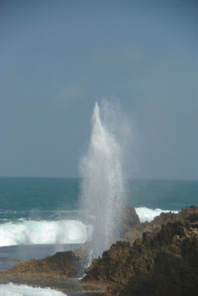 Picture of Point Quobba Blowholes - Point Quobba Blowholes
