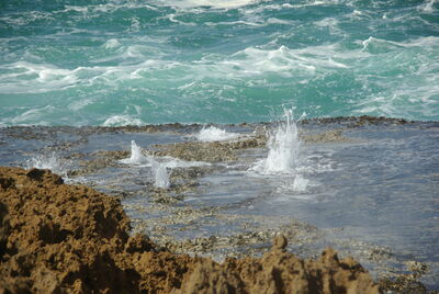 Image of Point Quobba Blowholes - Point Quobba Blowholes