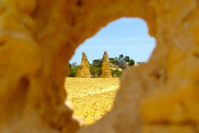 Picture of The Pinnacles, Nambung National Park - The Pinnacles, Nambung National Park