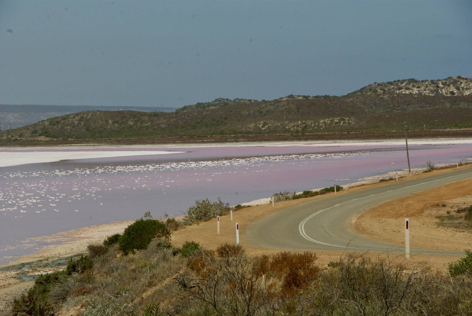 Image of Pink Lake Lookout, Hutt Lagoon by Nigel Shaw