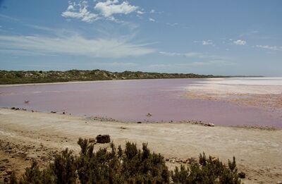 Australia images - Pink Lake Lookout, Hutt Lagoon