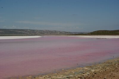Image of Pink Lake Lookout, Hutt Lagoon - Pink Lake Lookout, Hutt Lagoon