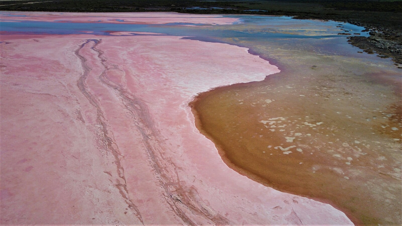 Image of Pink Lake Lookout, Hutt Lagoon by Team PhotoHound