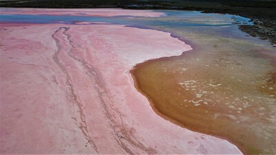 Pink Lake Lookout, Hutt Lagoon