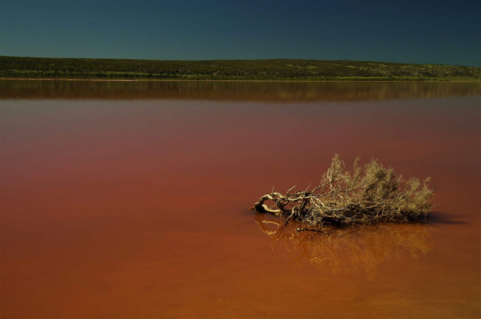 Image of Pink Lake Lookout, Hutt Lagoon by Team PhotoHound