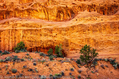 Picture of Long Canyon - Swiss Cheese Walls - Long Canyon - Swiss Cheese Walls