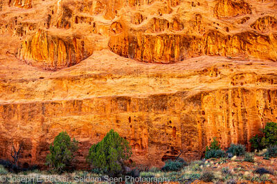 Utah photography spots - Long Canyon - Swiss Cheese Walls