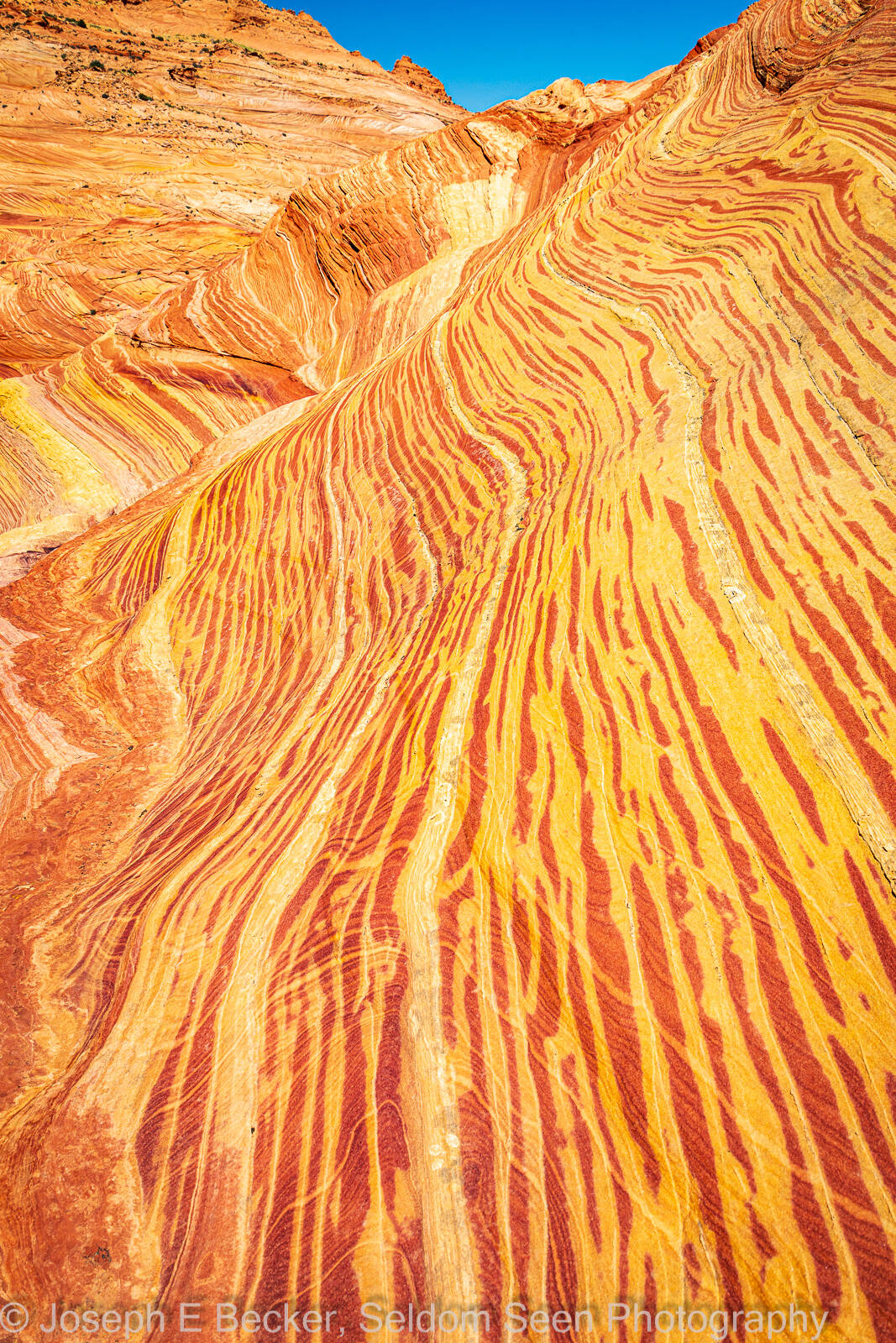 Image of Coyote Buttes North - Psychedelic Wall by Joe Becker