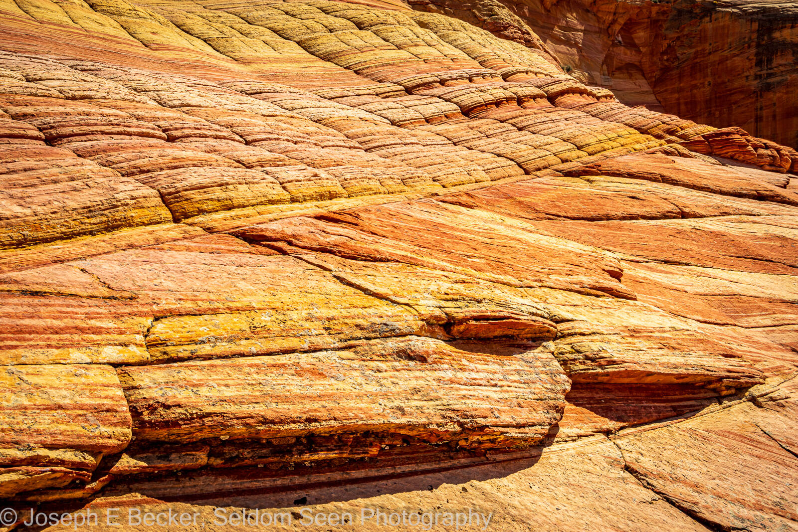 Image of Coyote Buttes North - Psychedelic Wall by Joe Becker