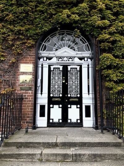 The Most Photographed Door in Dublin