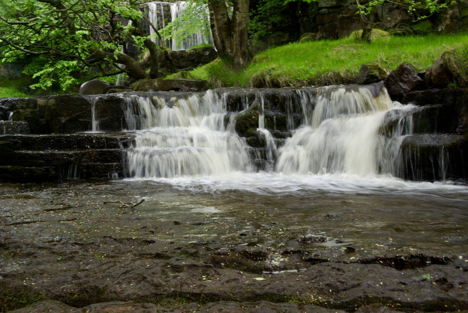 Image of East Gill Force by Nigel Shaw