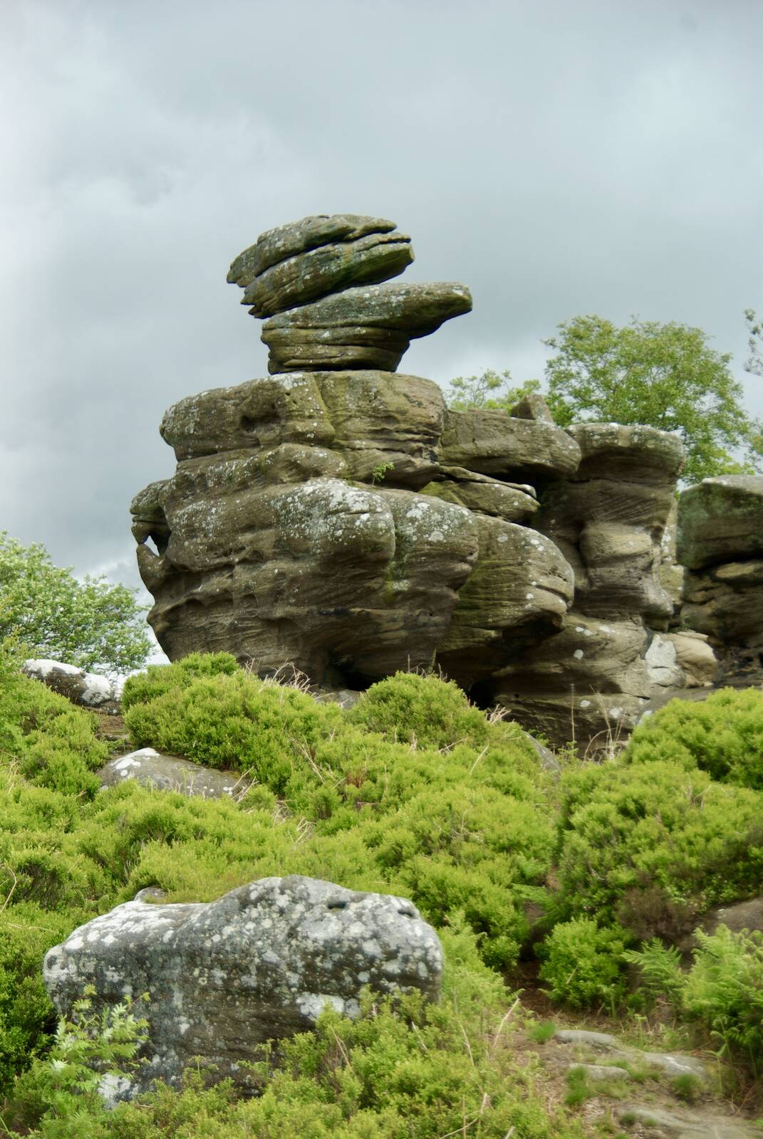 Image of Brimham Rocks, Nidderdale by Nigel Shaw