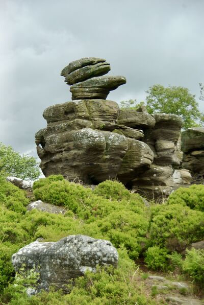 pictures of The Yorkshire Dales - Brimham Rocks, Nidderdale