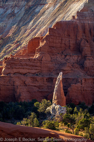 Picture of Kodachrome Basin - Angel's Palace Trail - Kodachrome Basin - Angel's Palace Trail