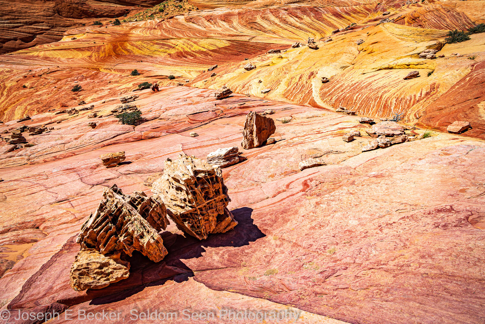 Image of Coyote Buttes North - The Boneyard by Joe Becker