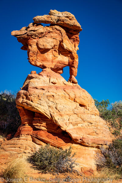 United States photography spots - South Coyote Buttes - the Hydra