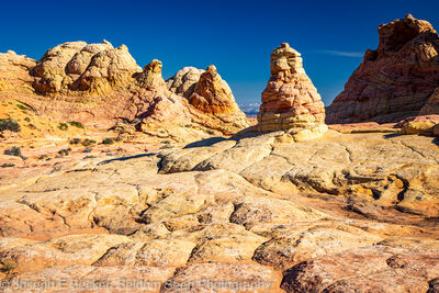 Image of South Coyote Buttes - the Ice Cream Cone - South Coyote Buttes - the Ice Cream Cone