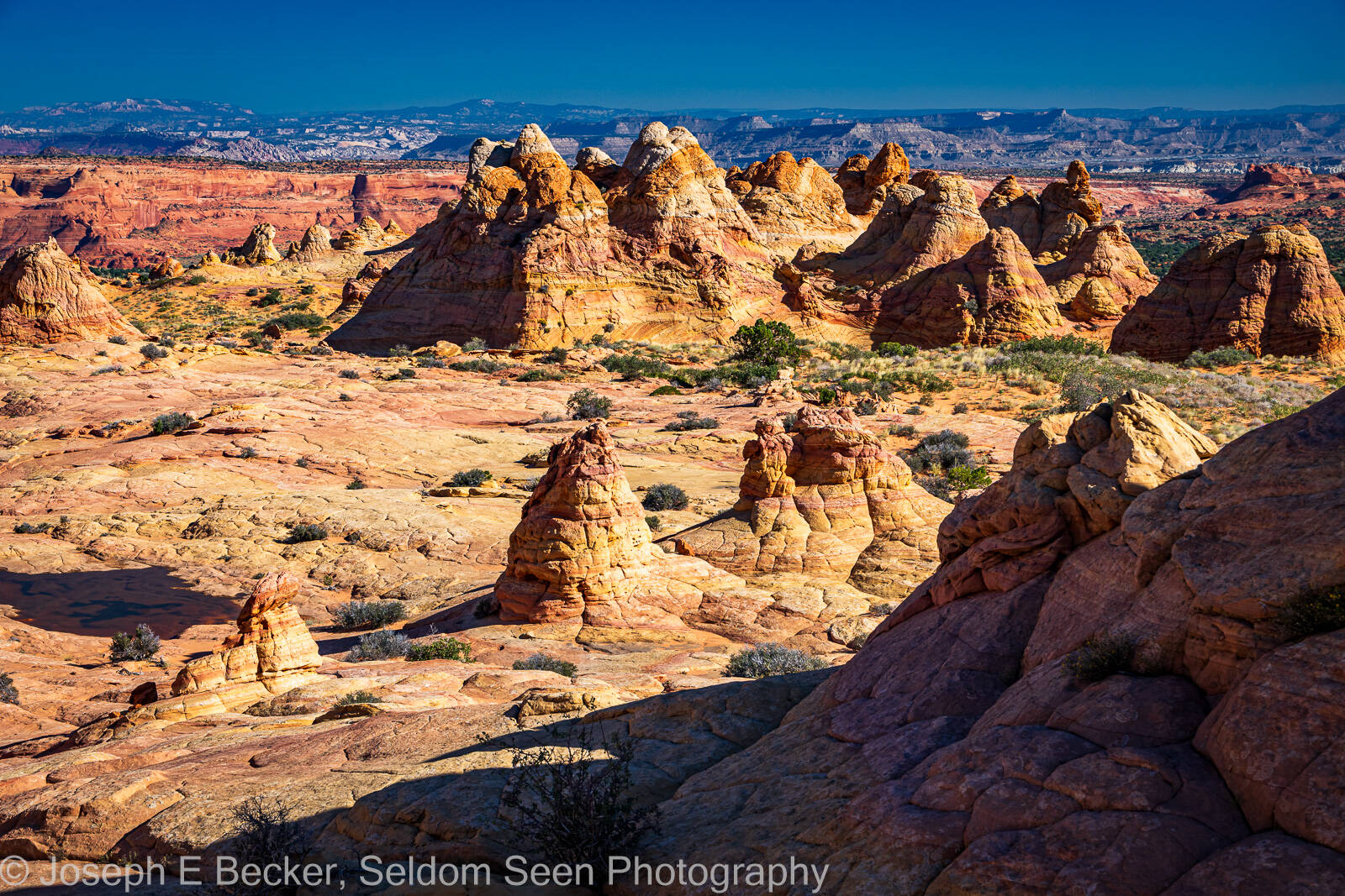 Image of South Coyote Buttes - the Ice Cream Cone by Joe Becker