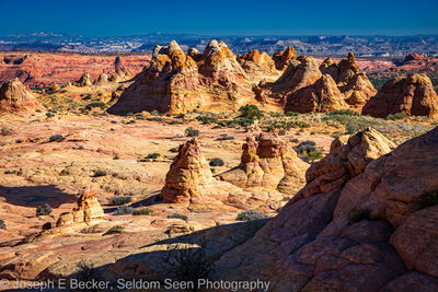 Photo of South Coyote Buttes - the Ice Cream Cone - South Coyote Buttes - the Ice Cream Cone