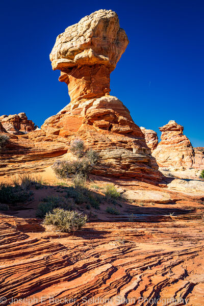 Picture of South Coyote Buttes - the Ice Cream Cone - South Coyote Buttes - the Ice Cream Cone
