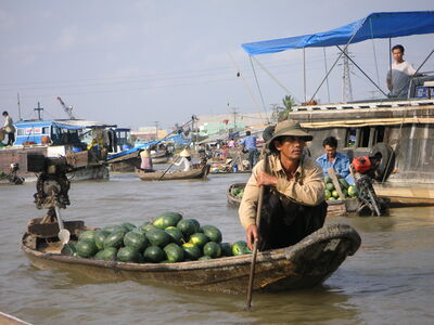 images of Vietnam - Cai Rang Floating Market