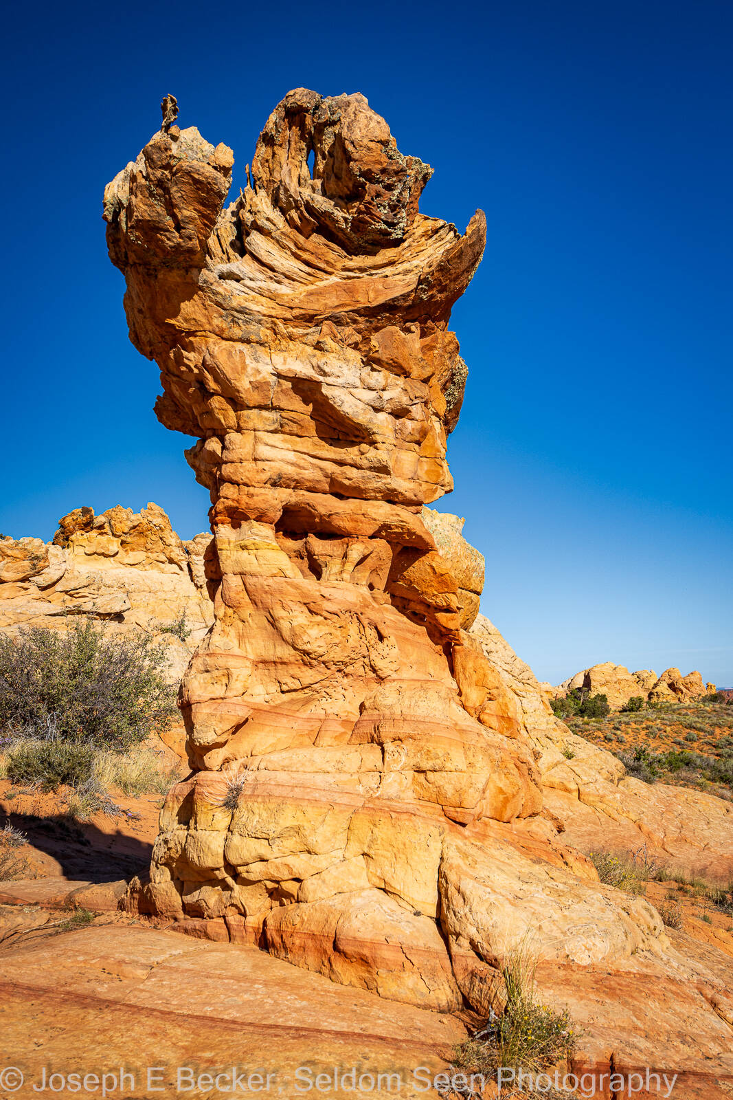 Image of South Coyote Buttes - the Olympic Torch by Joe Becker