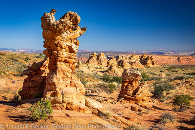 photography spots in United States - South Coyote Buttes - the Olympic Torch