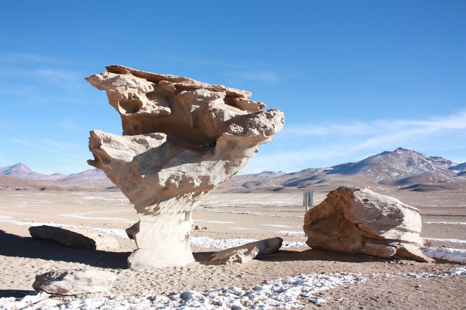 Image of Stone Tree, Siloli desert by Team PhotoHound