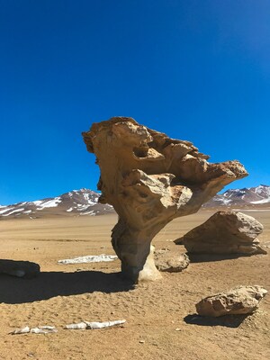 images of Bolivia - Stone Tree, Siloli desert