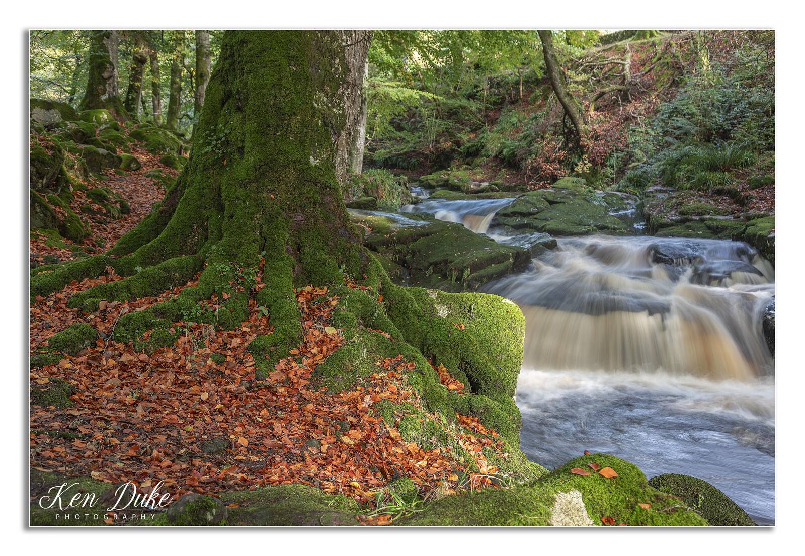 Image of Cloghleagh Cascade by Ken Duke