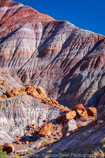 photos of Coyote Buttes North & The Wave - Old Paria Townsite