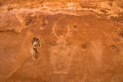 Petroglyphs on the canyon walls.