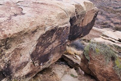 images of the United States - Petrified Forest National Park