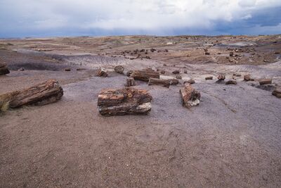 United States pictures - Petrified Forest National Park