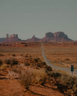 Picture of Forest Gump Point - Forest Gump Point