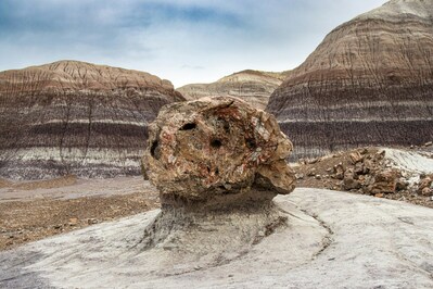 pictures of the United States - Petrified Forest National Park