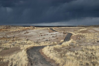photos of the United States - Petrified Forest National Park