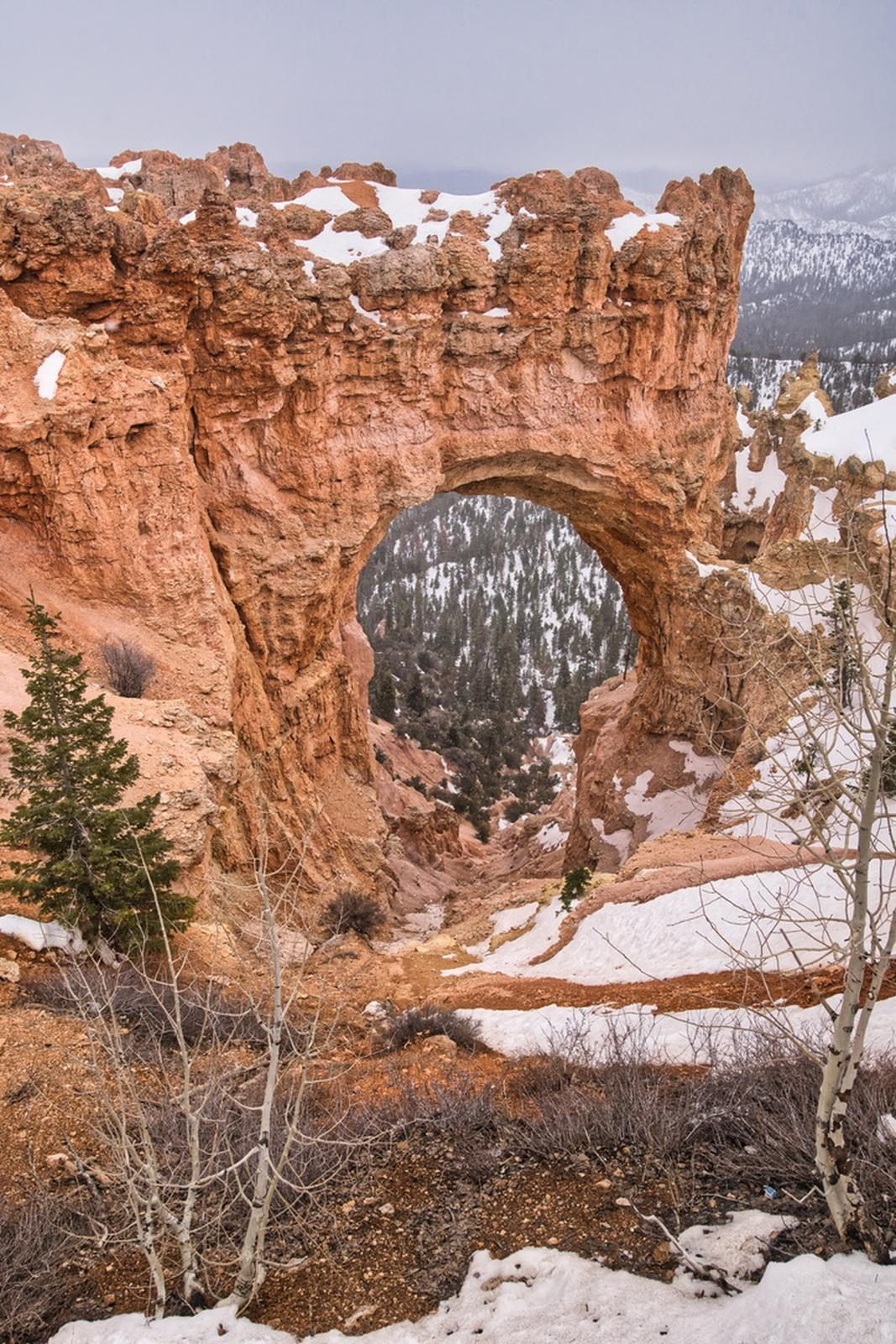 Image of Natural Bridge, Bryce Canyon by Steve West