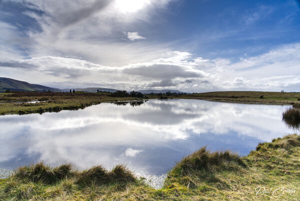 Taken at the upper pond near looking back towards the direction of the sun with the reflection of the sky and clouds.
