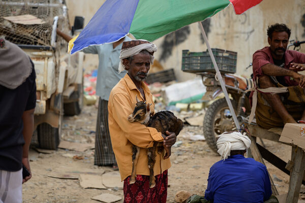 Goat market at Hadiboh, Socotra island