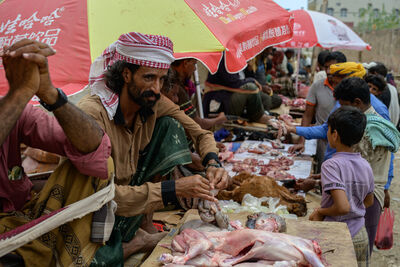 Yemen images - Hadiboh Goat Market