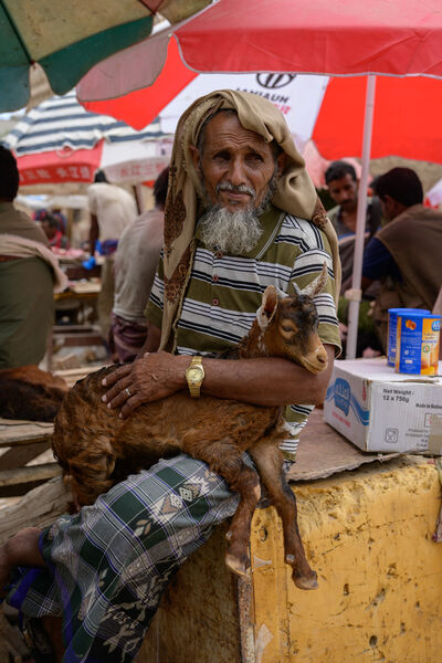 Yemen pictures - Hadiboh Goat Market